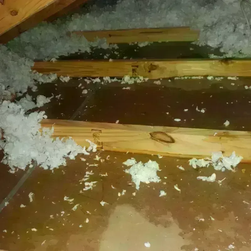 Attic Water Damage in Oak Grove, VA